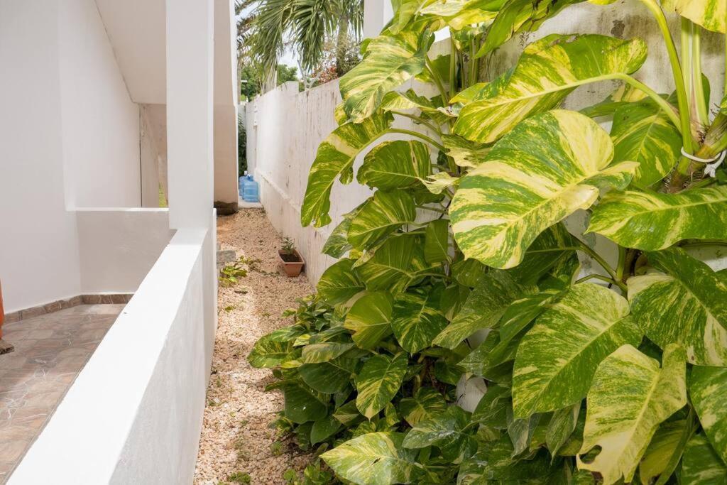 Villa Caribe Bayahibe Luaran gambar