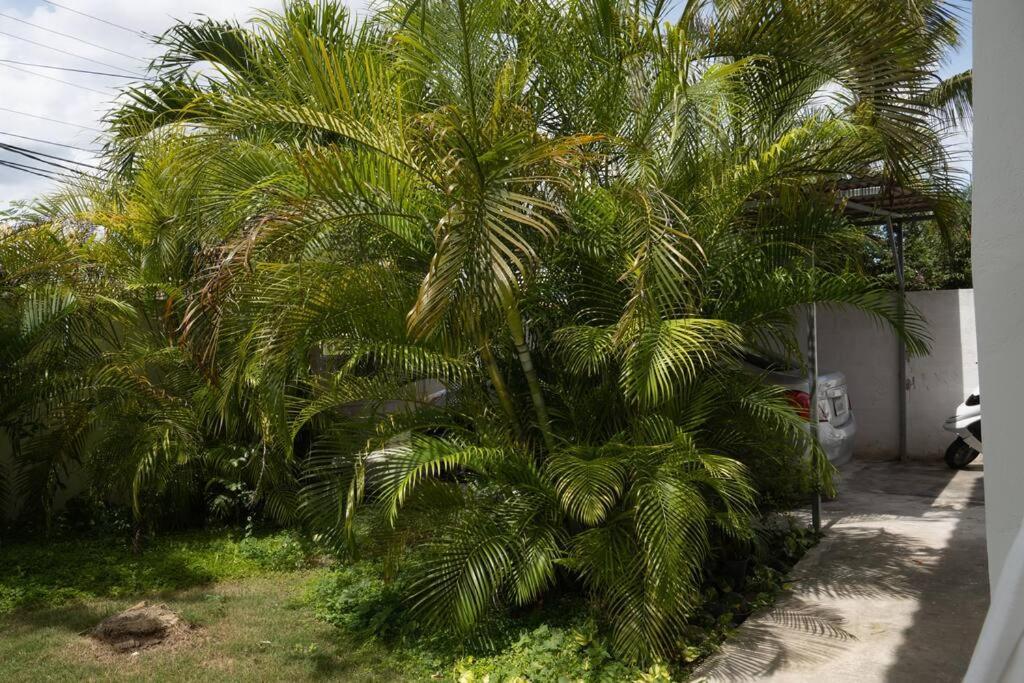 Villa Caribe Bayahibe Luaran gambar